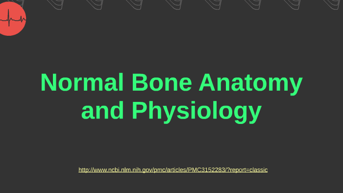 Normal Bone Anatomy and Physiology by Blake Hoge