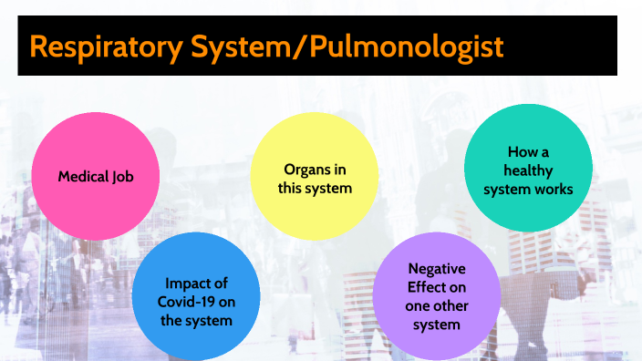 Respiratory System/Pulmonologist By Sahasra Botcha On Prezi