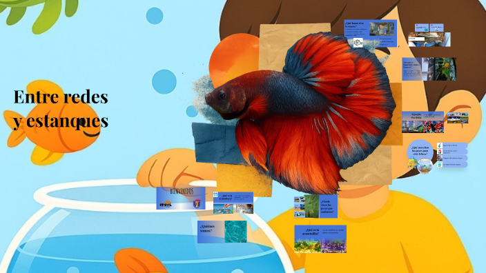 Entre redes y estanques by juan hdz on Prezi
