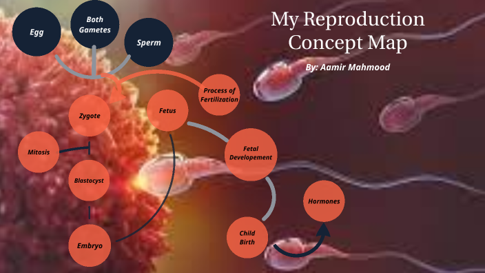 Reproduction & Genetics: Concept Map by Aamir Mahmood on Prezi