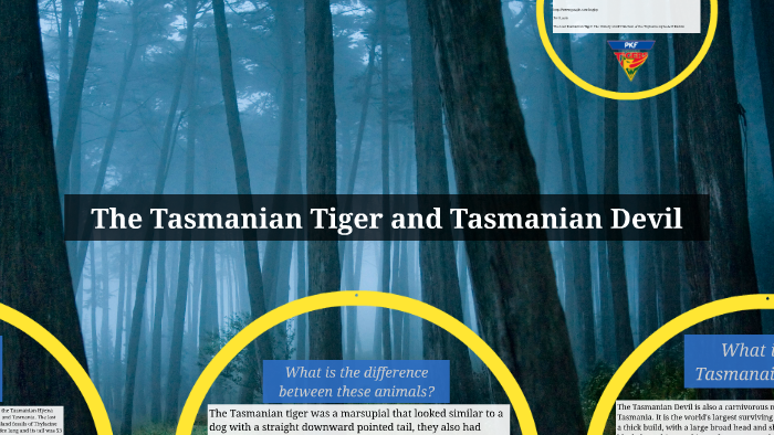 The Tasmanian Tiger and Tasmanian Devil by Ricky Yavits