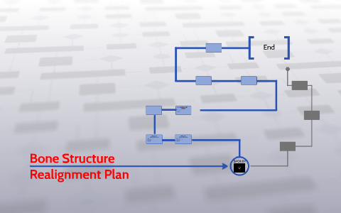 Bone Structure Realignment Plan by on Prezi