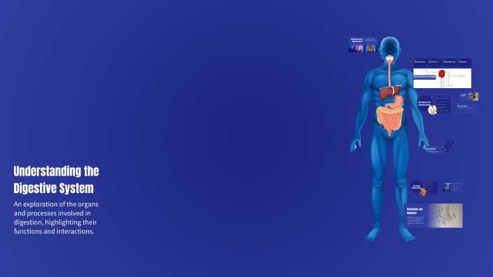 Understanding the Digestive System by Jeremy ayala on Prezi