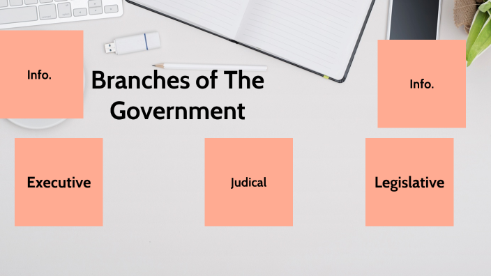 Branches of The Government by It's Shay