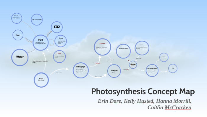 Photosynthesis Concept Map by Caitlin McCracken on Prezi