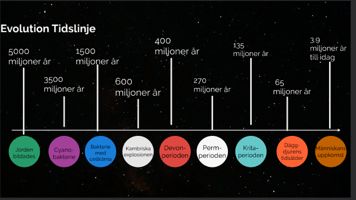 evolution-tidslinje-by-anton-ek-on-prezi