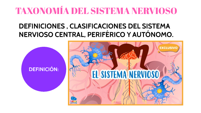 TAXONOMIA DEL SISTEMA NERVIOSO by Liss Garcia on Prezi