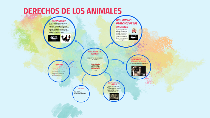 DERECHOS DE LOS ANIMALES by Geraldine Briceño Salas on Prezi