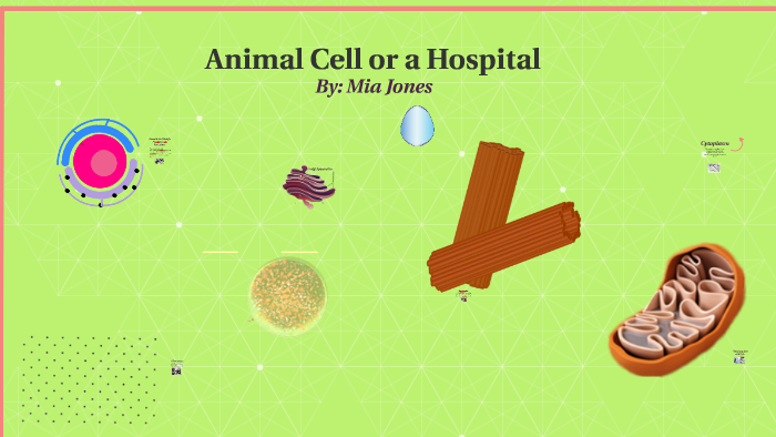 Animal Cell Analogies by Mia Jones on Prezi