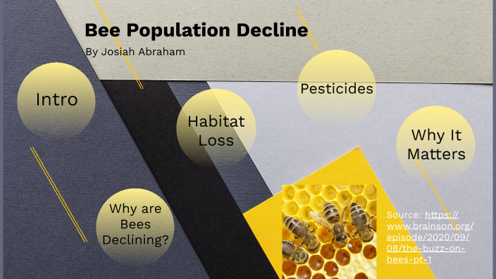 bee-population-decline-by-josiah-abraham-on-prezi