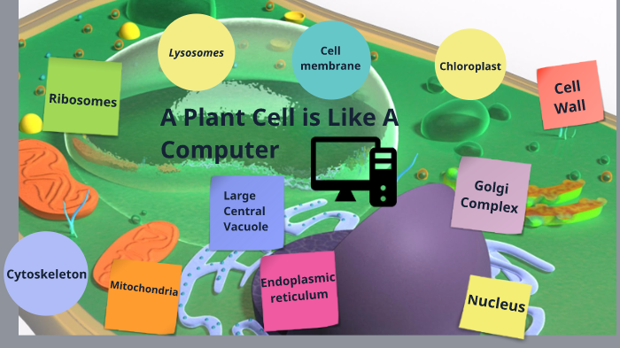 A Plant Cell is Like A Computer by Harry Wu on Prezi