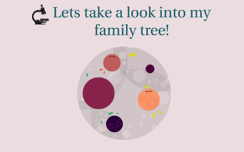My Family Tree by Gloriely Salgado on Prezi