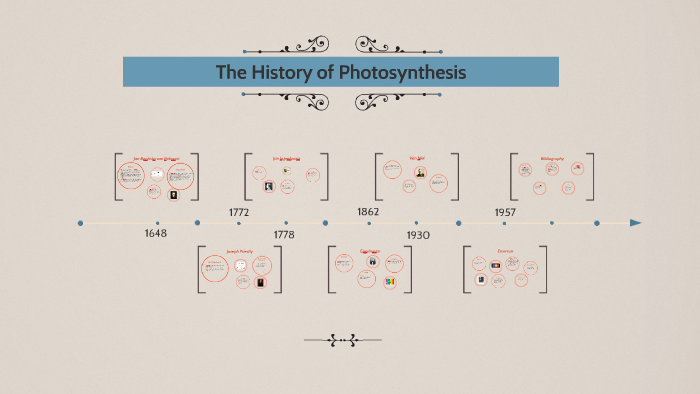 The History of Photosynthesis by Kimi Aghazadeh