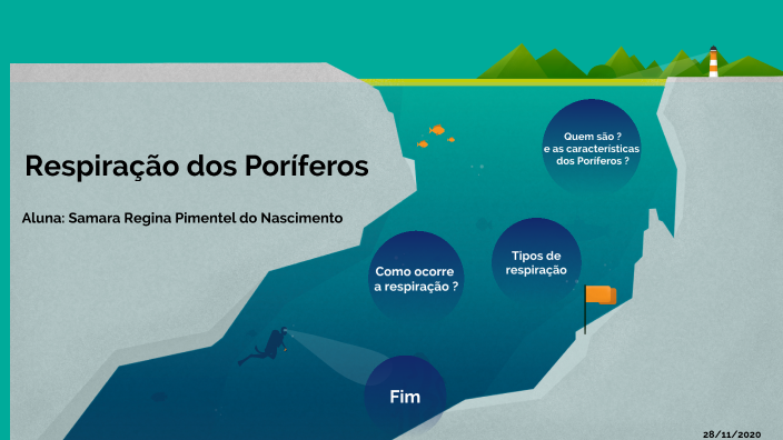 Respiração dos Poríferos by Myckael Vitor on Prezi