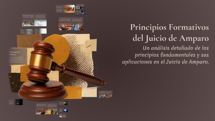 Principios Formativos del Juicio de Amparo by Zayra Rocha on Prezi