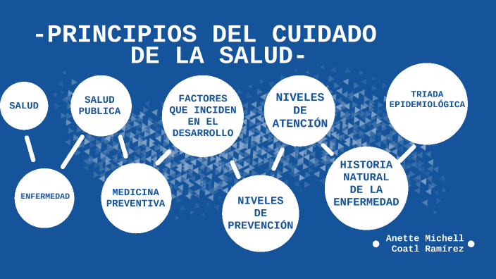 “PRINCIPIOS DEL CUIDADO DE LA SALUD” by Anette Michell Coatl Ramírez