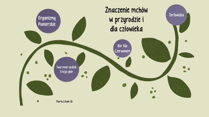 Znaczenie mchów w przyrodzie i dla człowieka by Mart Litwin on Prezi