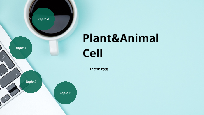 Plant and Animal Cells Project by Makayla Matthews on Prezi