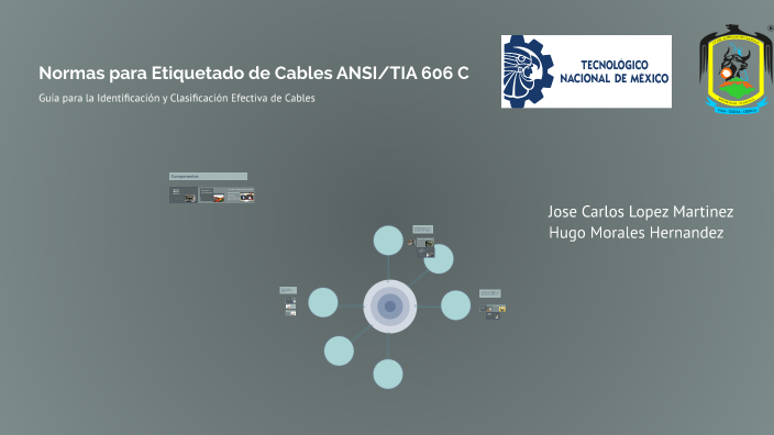Normas para Etiquetado de Cables ANSI/TIA 606 C by hugo morales on Prezi