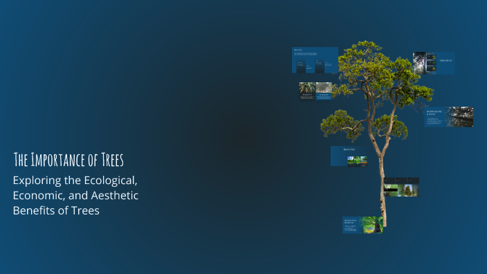 The Importance of Trees by szyszaa4 44 on Prezi