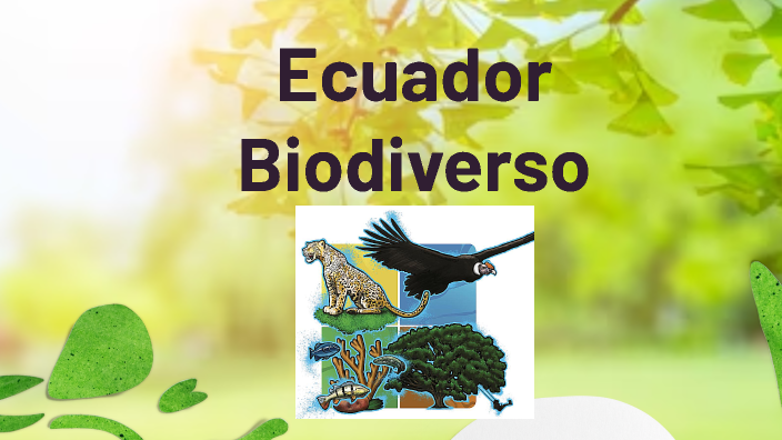 Biodiversidad en el Ecuador by Wilmer Jeremy García Haro on Prezi