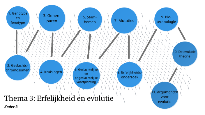 Thema 3 Erfelijkheid En Evolutie By Celine Romme On Prezi thema-3-erfelijkheid-en-evolutie-by-celine-romme-on-prezi