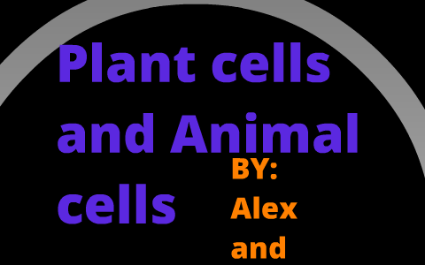 plant cells vs. animal cells by Ashley Wilson on Prezi