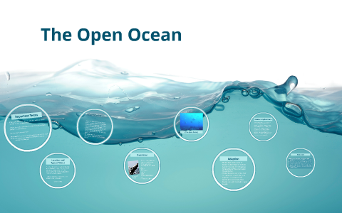 The Open Ocean by on Prezi