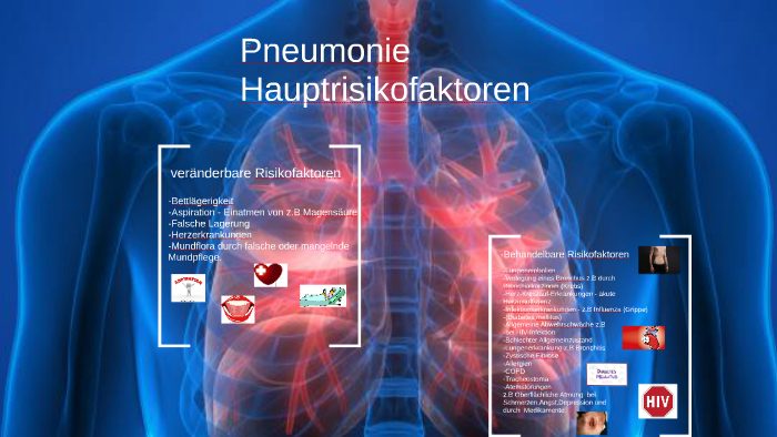 Www Dr Gumpert De Fileadmin Bilder Anatomie Lunge An By Inducent Spark