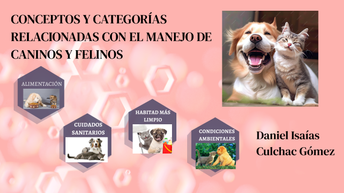 Conceptos Y Categorías Relacionadas Con El Manejo De Caninos Y Felinos By Marín Tobar 4745