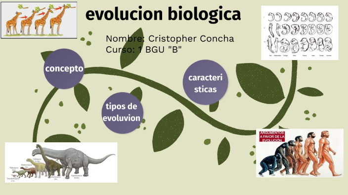 Evolucion Biologica By Cristopher Concha On Prezi 4454