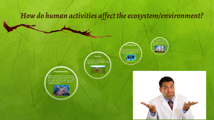 how-do-human-activities-affect-the-ecosystem-environment-by-daniel-chen