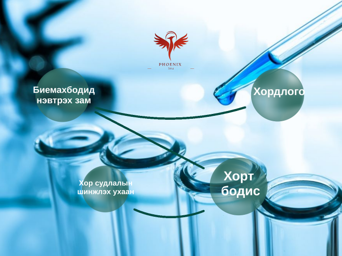 Хор судлал Mind map by Anudari Zoljargal on Prezi