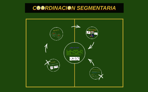 coordinacion segmentaria