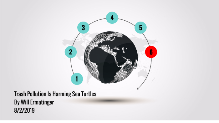 Trash Pollutions Effect On Sea Turtles by Will Ermatinger on Prezi
