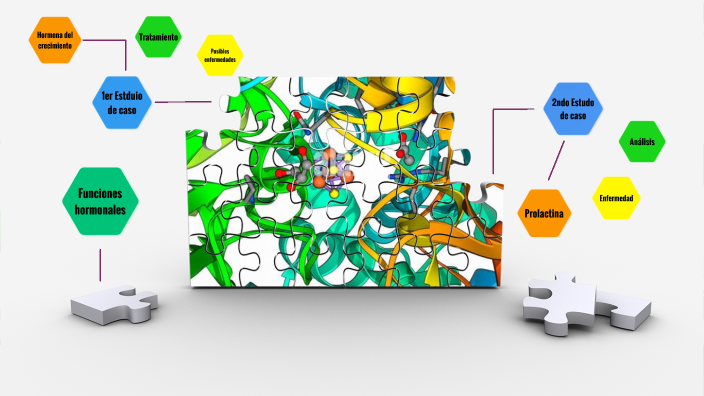 funcion hormonal proteina by Valentina López Pedrozo on Prezi