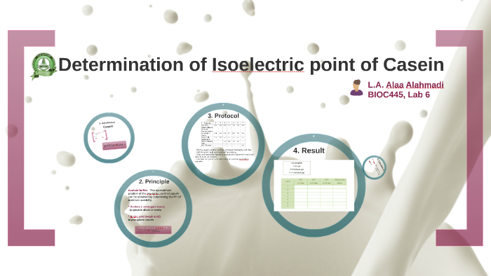 isoelectric point of casein experiment