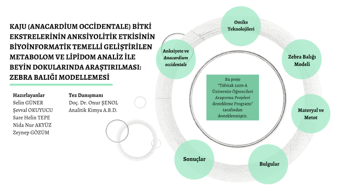 Tez Sunumu by Selin Güner on Prezi