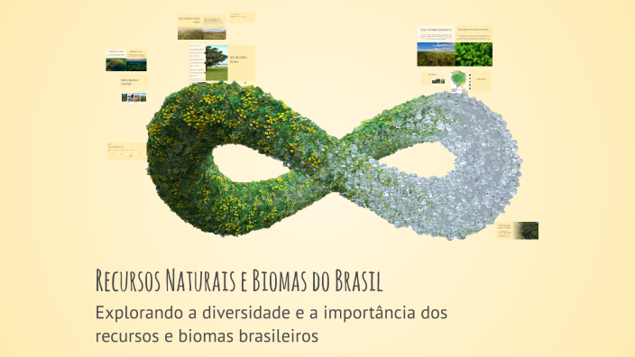 Recursos Naturais e Biomas do Brasil by NILDETE SOUZA RAMALHO on Prezi