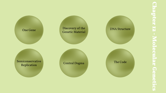 Biology Chapter 12 - Molecular Genetics by Caitlin Johnson on Prezi