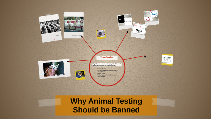 Why Animal Testing Should be Banned by Frinee Soto