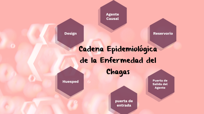 Cadena Epidemiológica de la Enfermedad del Chagas by Lucia Delgado