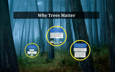 Why Trees Matter by stephanie novak on Prezi