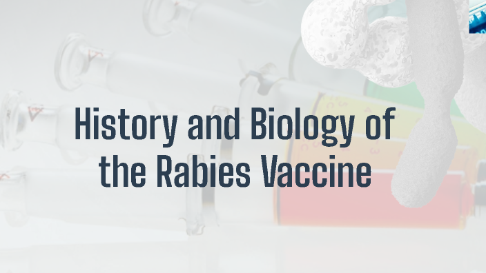 History and Biology of the Rabies Vaccine by Lauren Witt on Prezi