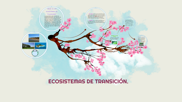 Ecosistemas De TransiciÓn By Estefania Limones On Prezi 5391