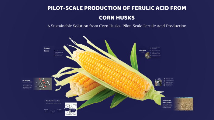 PILOT-SCALE PRODUCTION OF FERULIC ACID FROM CORN HUSKS by Amy Low on Prezi