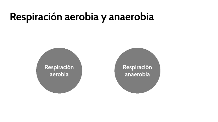 Respiración Aerobia Y Anaerobia By Joseph Samuel Carvajal Gonzales On Prezi 9080