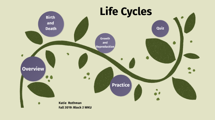 Life Cycles by Katie Rothman on Prezi