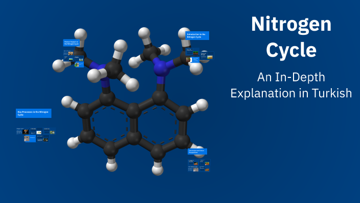 Nitrogen Cycle by Smoothy Ramez on Prezi