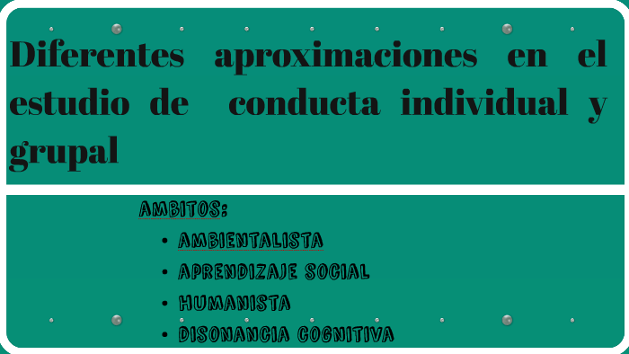 Diferentes Aproximaciones Al Estudio Del Comportamiento